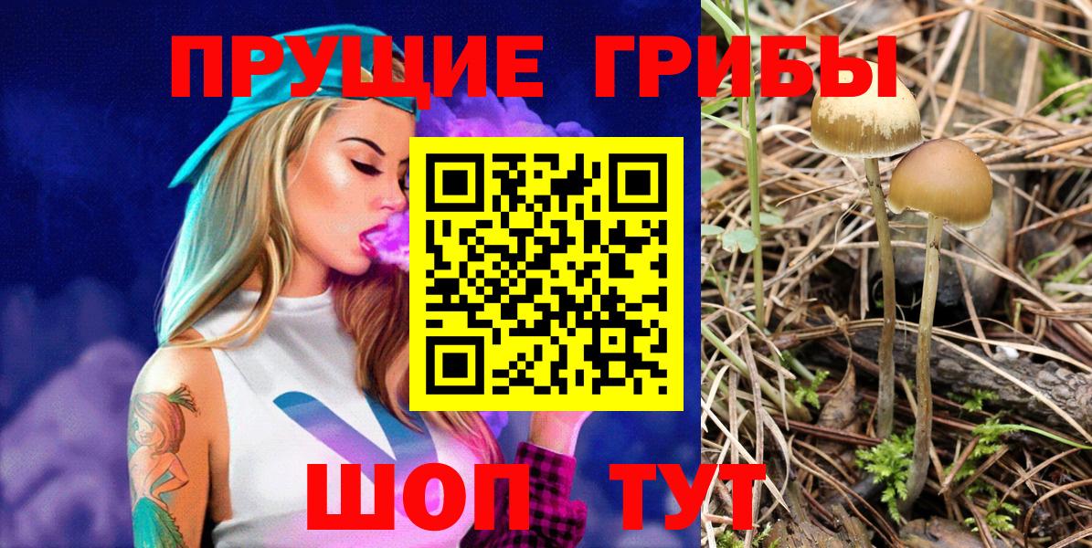 Псилоцибиновые грибы Magic Shrooms  Вход с VPN  наркотики  Похвистнево 